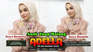 ANAK YANG MALANG | TASYA ROSMALA - OM ADELLA ( Live Cikarang )