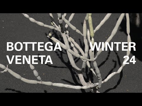Bottega Veneta Winter 24 Show