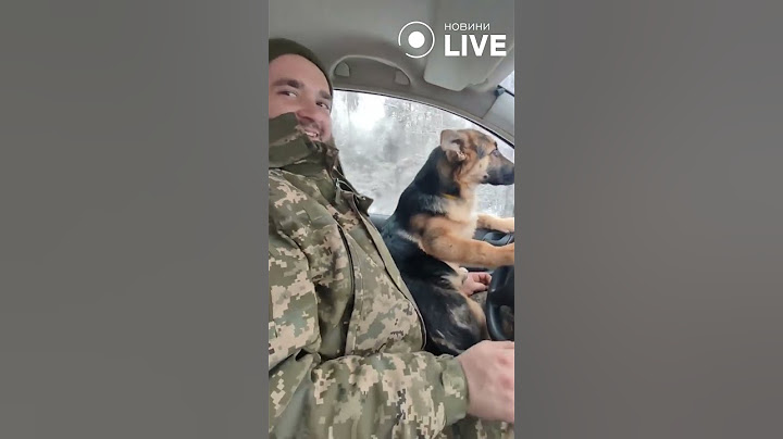 ❤️Наші сміливі воїни разом з помічником