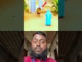 #duet #funny #comedymove #funnyanimals #memes