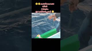 “Anchor Down in Deep Sea! Maldives Fishing Secret! 🌊⚓” #maldivesfishing #fishing