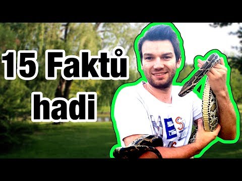 Video: Několik Faktů O Anakondě