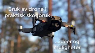 Drone Skogbruket, Ideer Og Muligheter