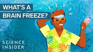 What Really Happens During A Brain Freeze