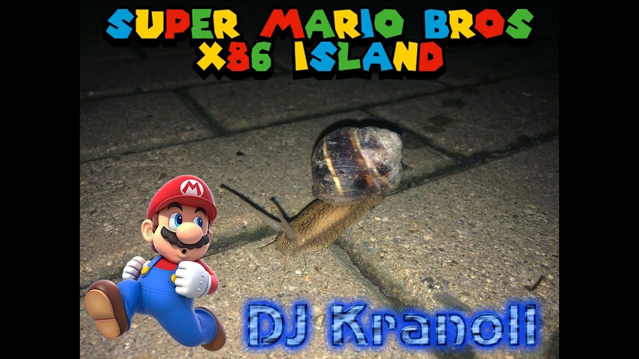 DJ Mario Bros. 