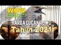 HARGA CUCAK ROWO TERBARU 2021