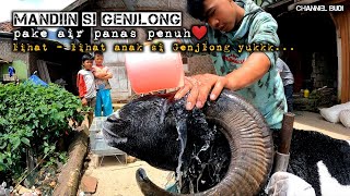 Memandikan si Genjlong dg Air Hangat penuh Cinta ❤ || Sambil Nengok Anak - Anak si Genjlong