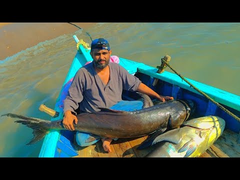 Pair of Monster Cobias |  Fishing in Karachi 2022 | Charna Island fishing 2022 | Big Game Fishing