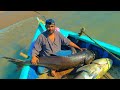 Pair of monster cobias   fishing in karachi 2022  charna island fishing 2022  big game fishing