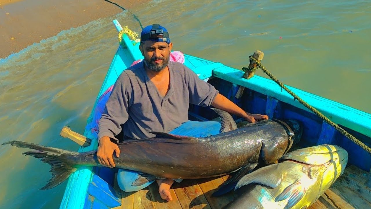 Pair of Monster Cobias Fishing in Karachi 2022 Charna Island