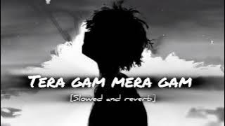 Tera Gam Mera Gam Ek Jaisa Sanam (slowed reverb )Kavita Krishnamurthy, Hariharan Ghulam E Musthafa