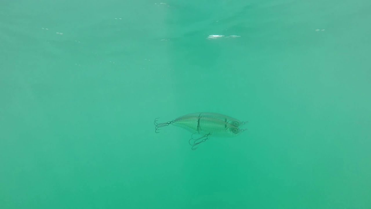 6th Sense Tungsten Mini Glider Swimbait