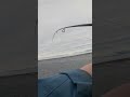 Seatrout rage