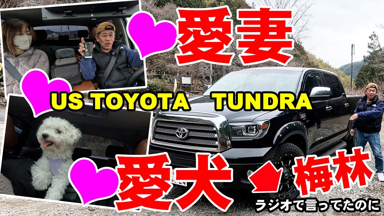Driving in a Tundra with a Miniature Schnauzer and a Bichon Frise