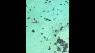 ‏جوهرة جنوب المحيط الهادي..مشهد ساحر  في جزيرة موريا إحدى جزر بولينيزيا الفرنسية