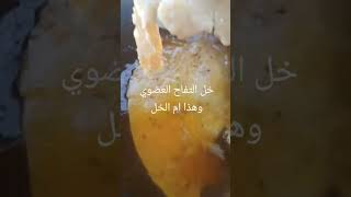 فوائد خل التفاح العضوي الطبيعي