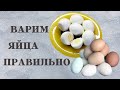 ВАРИМ ЯЙЦА ПРАВИЛЬНО/ Как правильно варить яйца/ ВКУСНОДЕЛ