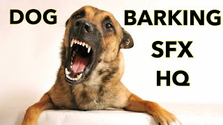 Dog Barking Sound Effects | High Quality