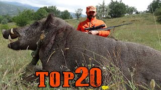 TOP 20 YABAN DOMUZU AVI UNUTULMAZ SAHNELER, AMAZING WILD BOAR HUNTS, CHASSE AU SANGLIER, HOG HUNTS