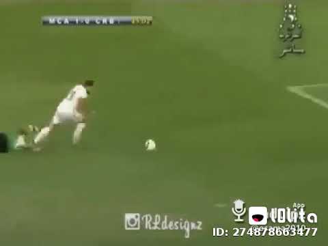 الشيخ عبد الحليم تحشيش