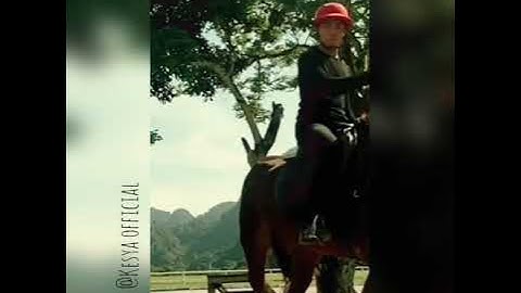 Kumpulan tik tok Saaih halilintar|