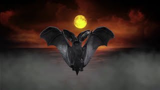 Motion Graphics 4K | Flying Bat Animation (Must Watched) | Digital Art 4K | The Man
