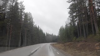 🔴 Driving In Sweden 🇸🇪 Relaxing Landscape