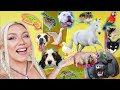 Feeding ALL My Pets in One Video!!