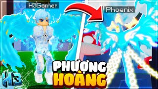 Mình đã THỨC TỈNH PHOENIX V2?? Hóa PHƯỢNG HOÀNG Siêu Đẹp Trong Blox Fruit | Roblox