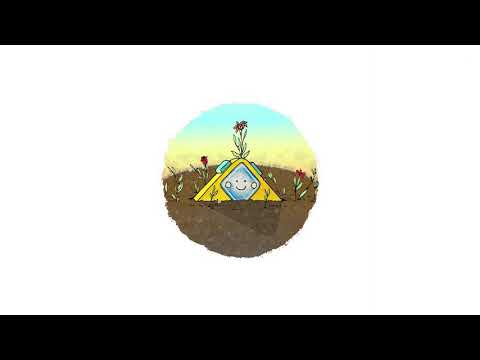 Fjun - Chromosomes