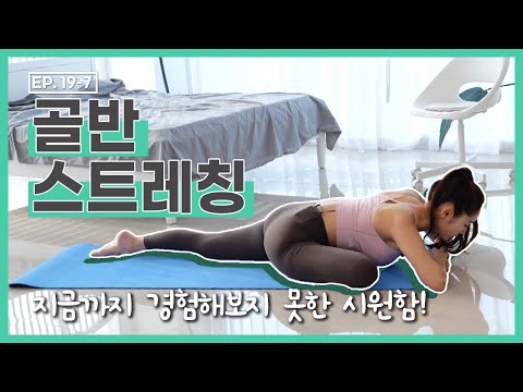 [더 바디핏] <strong>EP</strong>.19-7 HOME <strong>TRAINING</strong>-07 골반 스트레칭 [안소영/김현정]