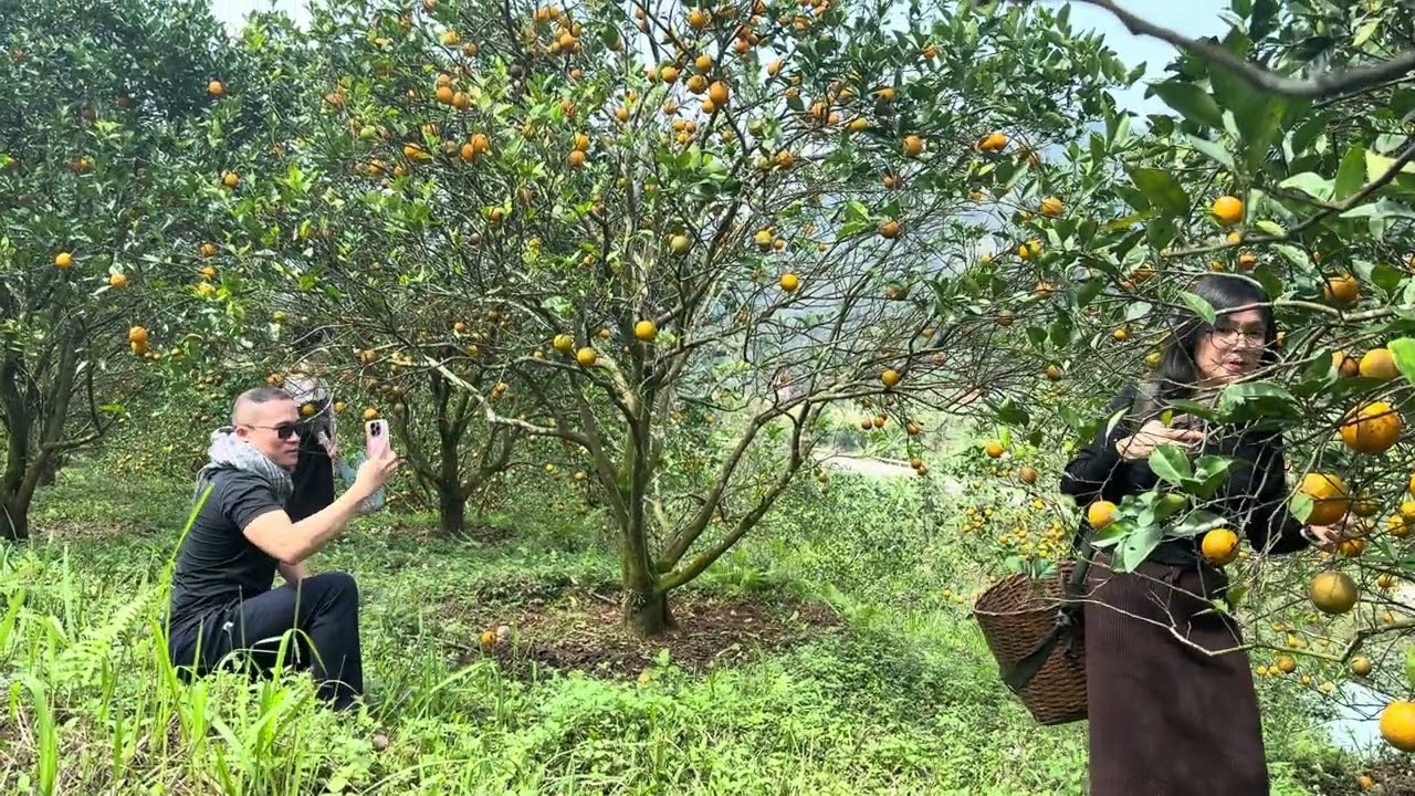 ngày 20 tháng 2, 2026