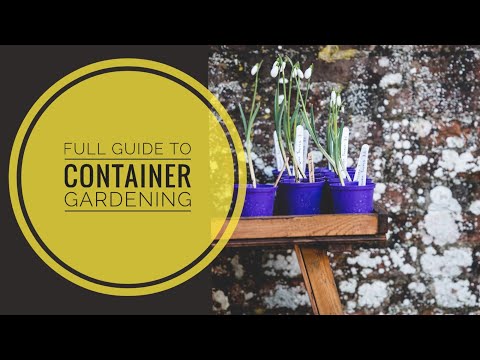 ვიდეო: კონტეინერის ბაღის განთავსება - ისწავლეთ როგორ გააშენოთ კონტეინერის ბაღი