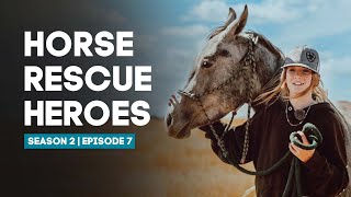 Horse Rescue Heroes | Season 2 | Episode 7 | Goodbye Noodle