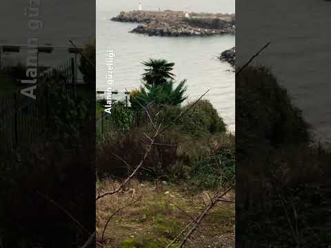 Alanın Ve Müziğin Güzelliği 