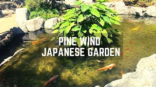 Pine Wind Japanese Garden (Sho Fu En) in Torrance, CA