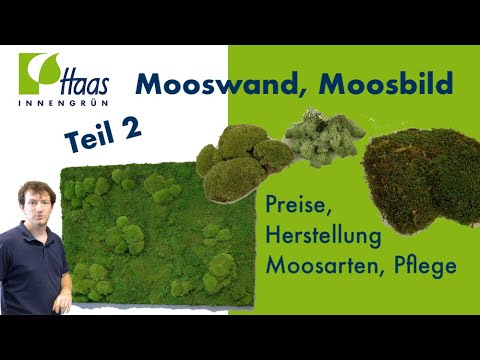 Mooswand oder Moosbild selber machen Teil 2? Moosarten ...