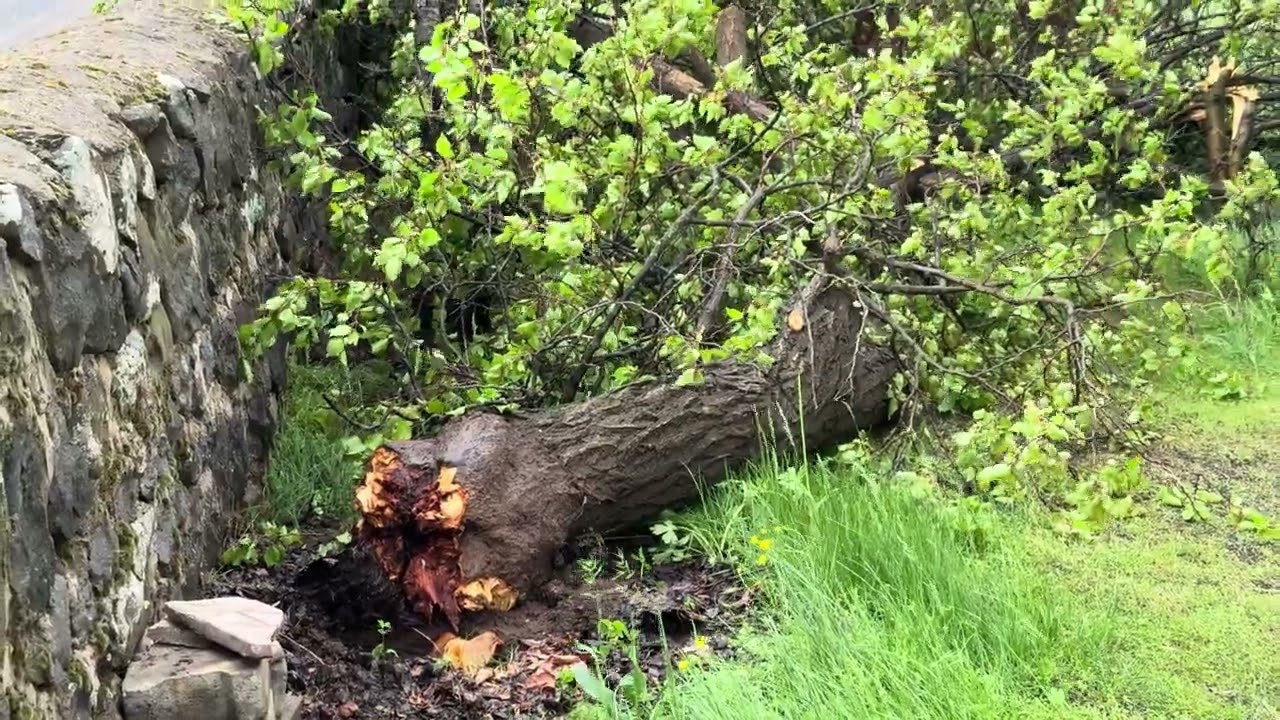 Karakocanda fırtına