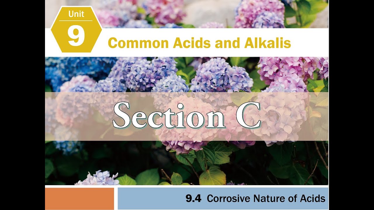 09.04 Corrosive Nature of Acids Section C YouTube
