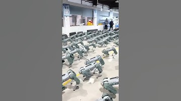 Rebooted Dogs? China Introduces Advanced AI Pet Technology"