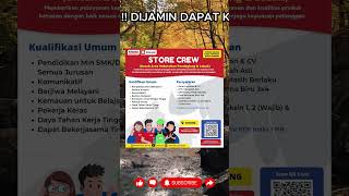 LOWONGAN KERJA Alfamart dan Alfamidi | Posisi STORE CREW | #lowongankerja #infoloker #toploker