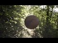 Veo 2 - Demo - basketball in forest