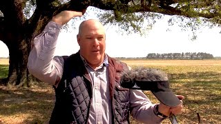 Switch2を頑張って作っている人たちのドキュメンタリー（吹き替え）