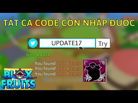 Tất Cả Code Còn Nhập Được Trong Update 17 Blox Fruits