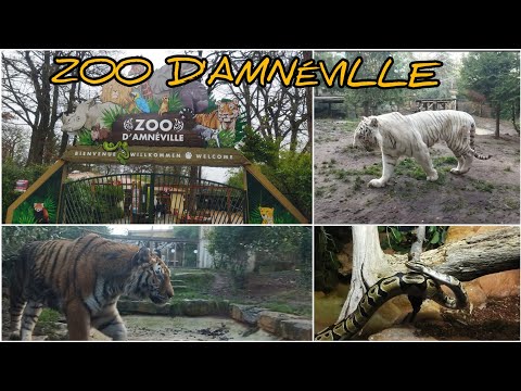zoo amneville extended reality world /.2021