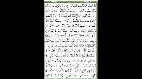 سورة النور الصفحة  ٣٥٧