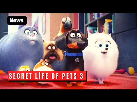 The Secret Life Of Pets 3 Release Date? News