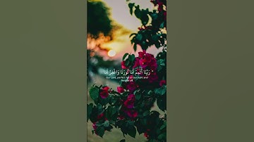 استخدموا الصوت ♥ #القرآن_الكريم #تلاوة_خاشعة