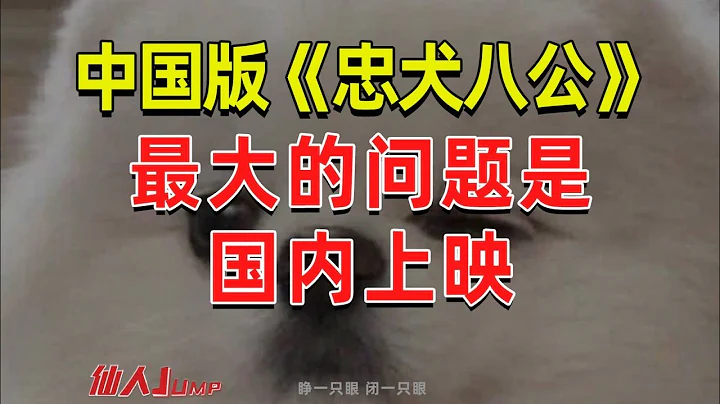 【半佛】中国版《忠犬八公》最大的问题是在国内上映 - 天天要闻