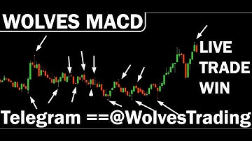 WOLVES MACD ARROW  HIGH ACCURATE Free Download MT4forex#MT4binaryoptionsIndicator